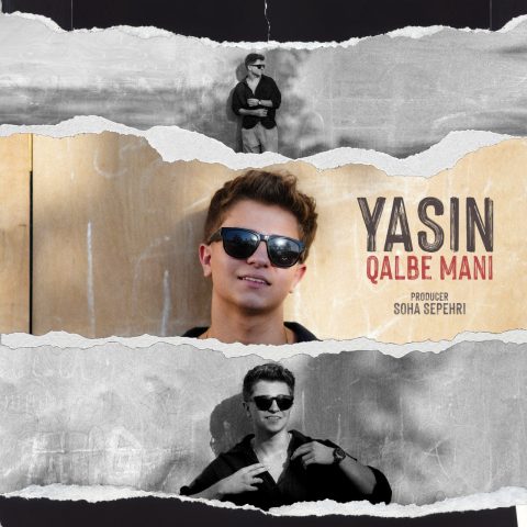 دانلود آهنگ یاسین قلب منی دانلود آهنگ یاسین قلب منی